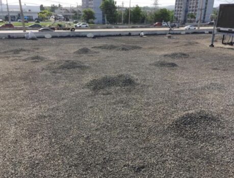 Re-roof1-e1707667476257
