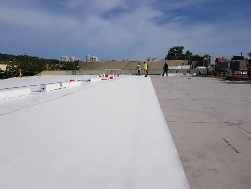 Re-roof5