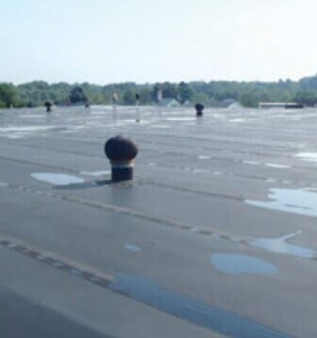 RoofCoating2